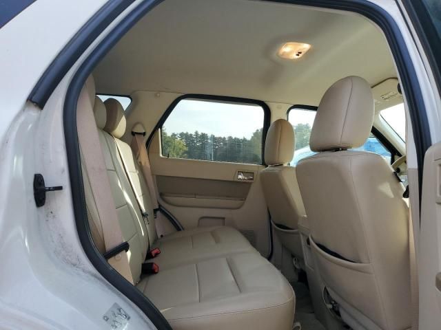 2010 Ford Escape Limited
