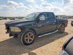 Dodge ram 1500 salvage cars for sale: 2010 Dodge RAM 1500