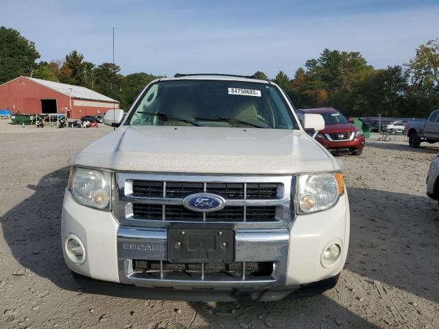 2010 Ford Escape Limited