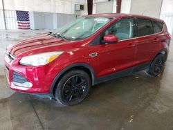 2016 Ford Escape SE for sale in Avon, MN