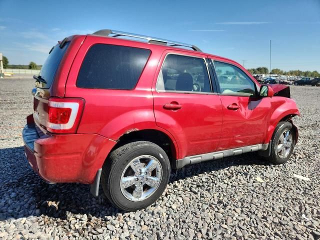 2010 Ford Escape Limited