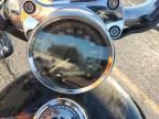 2005 Harley-Davidson XL883 C
