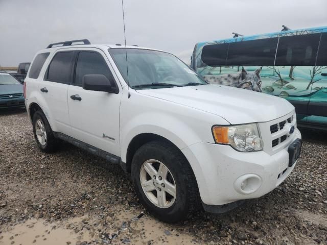 2011 Ford Escape Hybrid
