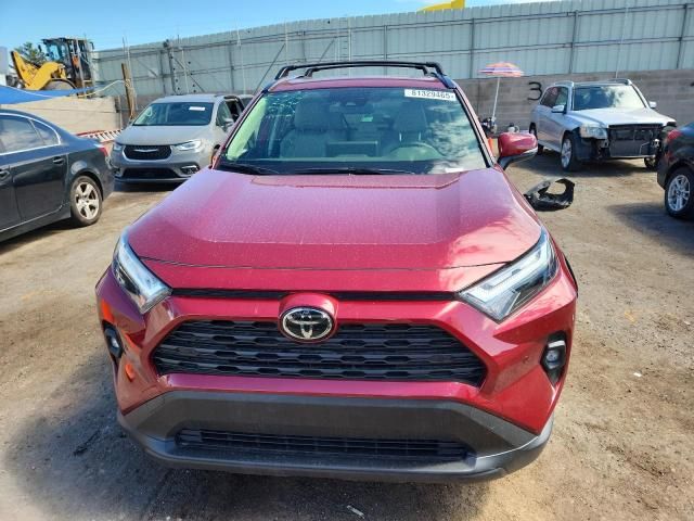 2025 Toyota Rav4 XLE Premium