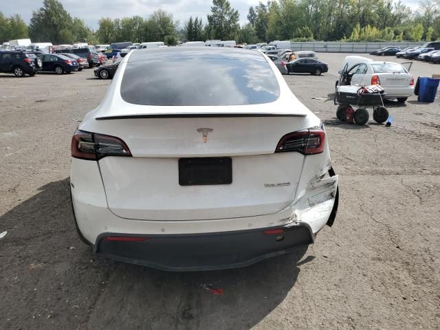 2022 Tesla Model Y