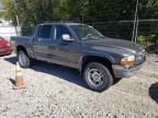 2004 Dodge Dakota Quad slt