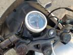 2024 Cf Moto 2024 Other Motorcycle CF Moto Papio