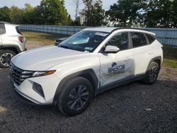 2022 Hyundai Tucson Blue for sale in Central Square, NY