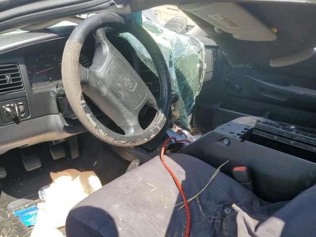 2003 Dodge Dakota SXT