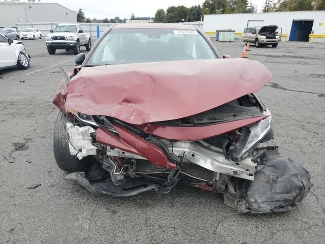 2019 Toyota Camry l