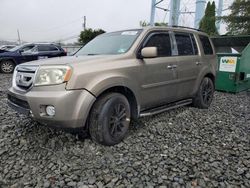 Honda Pilot salvage cars for sale: 2009 Honda Pilot exl