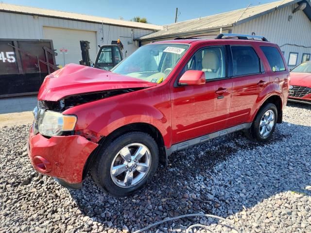 2010 Ford Escape Limited