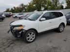 2007 Hyundai Santa FE SE