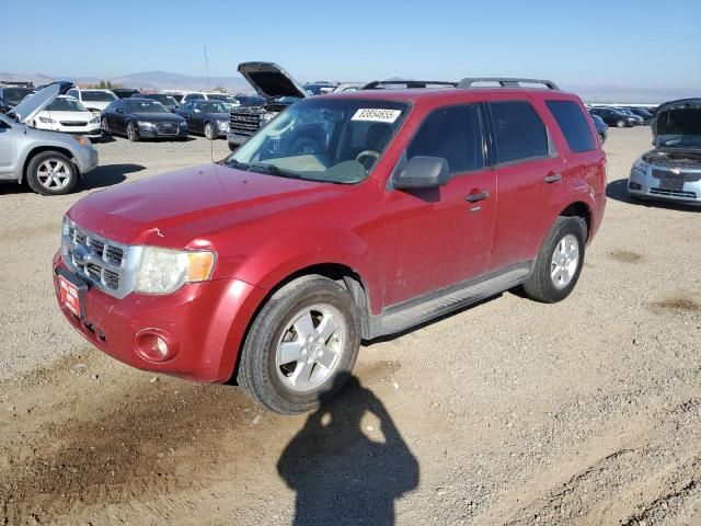 2009 Ford Escape xlt