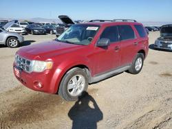 Salvage cars for sale from Copart Helena, MT: 2009 Ford Escape xlt