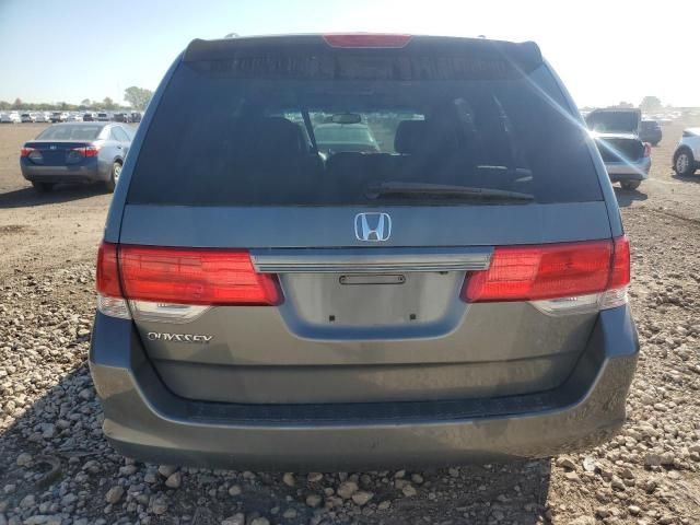 2008 Honda Odyssey EXL