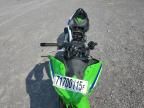 2024 Kawasaki EX500 A