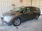 2020 Honda Odyssey EXL