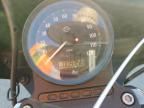 2020 Harley-Davidson XL1200 NS