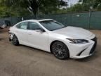 2023 Lexus Es 350 Base