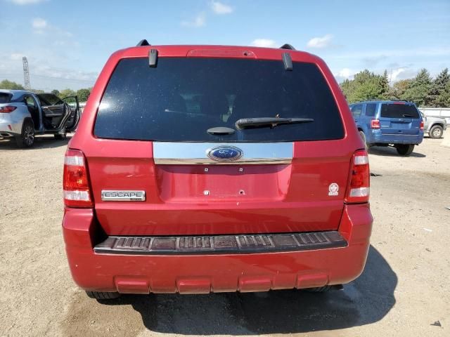 2011 Ford Escape Limited