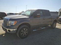 Ford salvage cars for sale: 2010 Ford F150 Supercrew