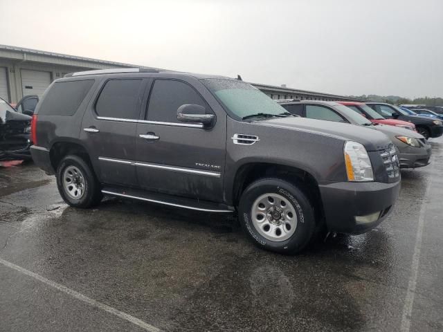2011 Cadillac Escalade Luxury