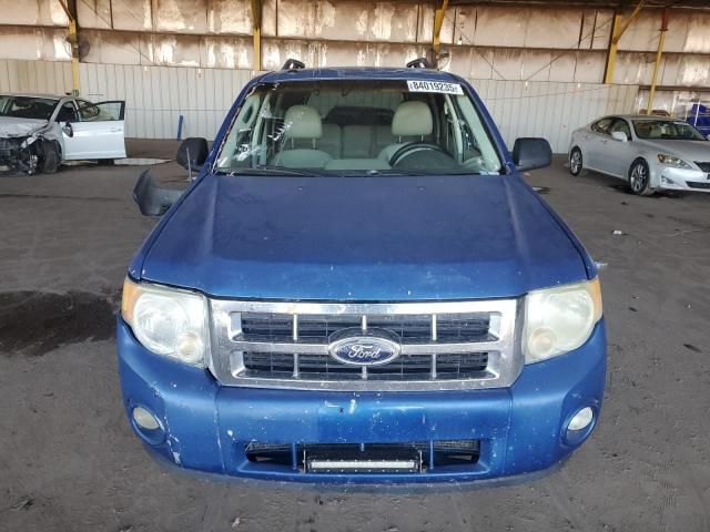 2011 Ford Escape XLT