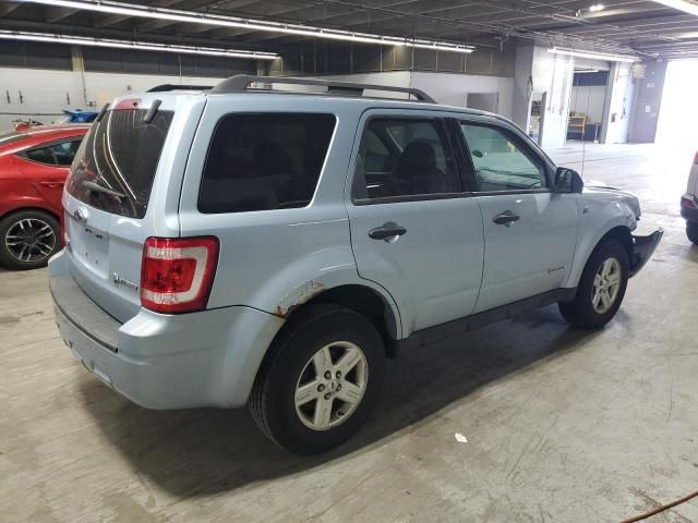 2008 Ford Escape HEV