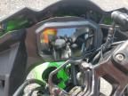 2024 Kawasaki EX500 A