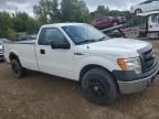 2013 Ford F150