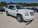 2013 Cadillac Escalade Hybrid