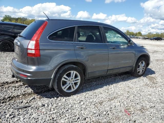 2010 Honda CR-V EXL