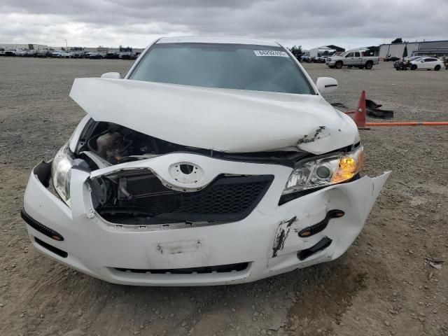 2008 Toyota Camry Hybrid