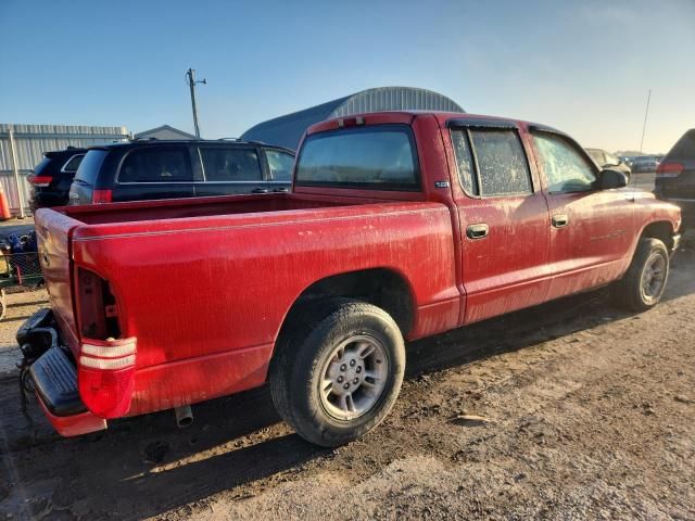 2000 Dodge Dakota Quattro