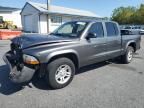 2004 Dodge Dakota Quad Sport