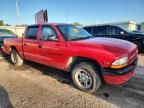 2000 Dodge Dakota Quattro