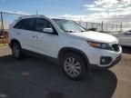 2011 KIA Sorento ex