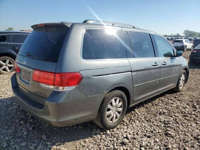 2008 Honda Odyssey EXL