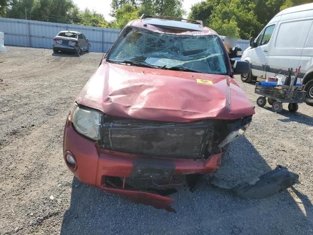 2008 Ford Escape xlt