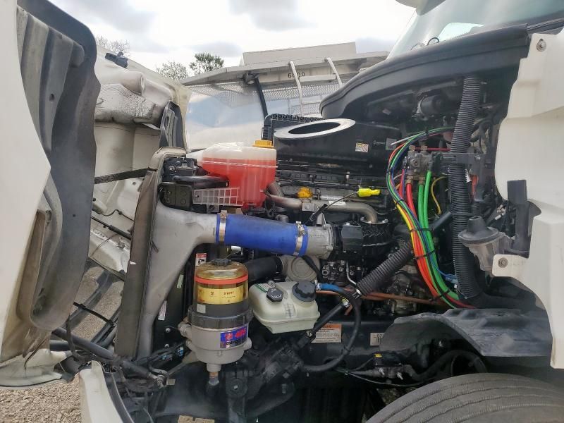 2019 Freightliner Cascadia 116
