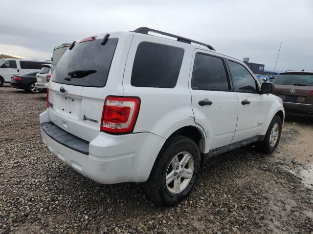 2011 Ford Escape Hybrid