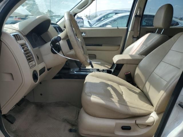 2010 Ford Escape Limited