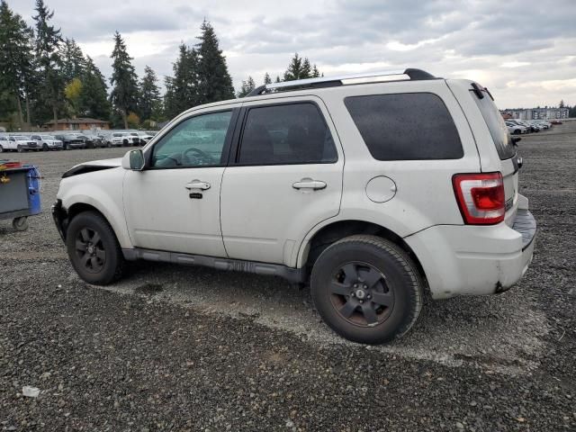 2009 Ford Escape Limited
