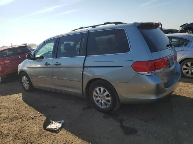 2010 Honda Odyssey EXL
