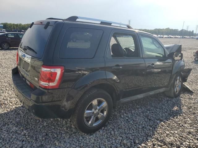 2011 Ford Escape Limited