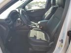 2023 Ford Escape st Line Select