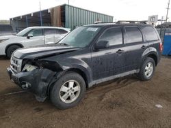 2011 Ford Escape XLT for sale in Colorado Springs, CO