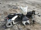 2009 Ducati Multistrada 1100