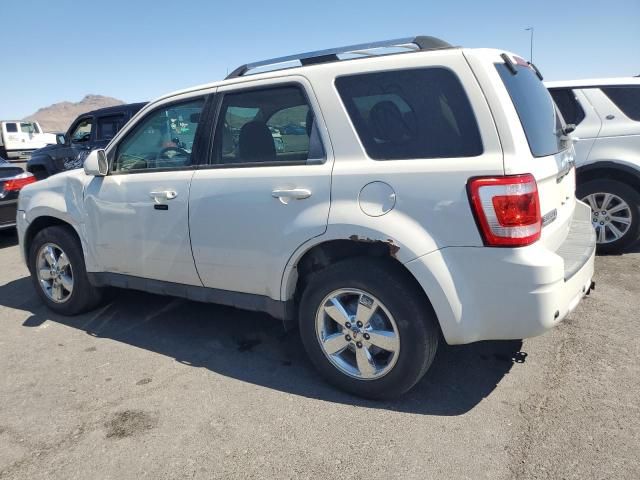 2011 Ford Escape Limited
